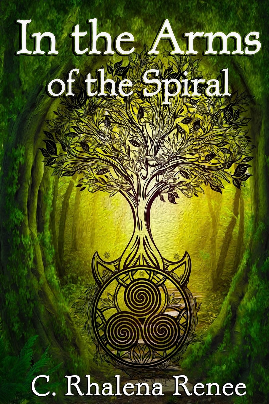 In the Arms of the Spiral (Spiraling Past, Band 1) Contemporary literature