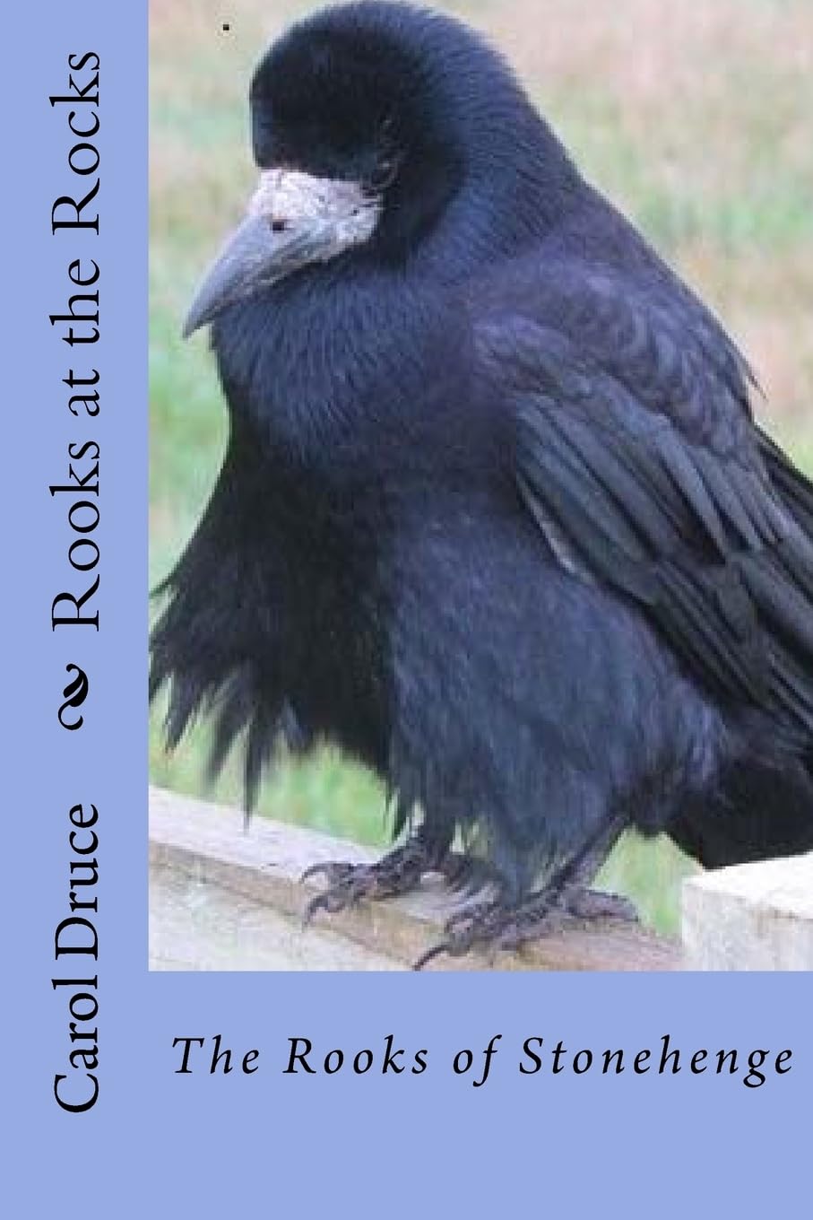 Rooks at the Rocks: - the Rooks of Stonehenge Mathematics