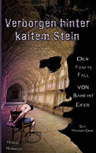 Verborgen hinter kaltem Stein: Der fünfte Fall von Bahr mit Eifer (Kommissar Bahr mit Eifer, Band 5) LGBTQ+