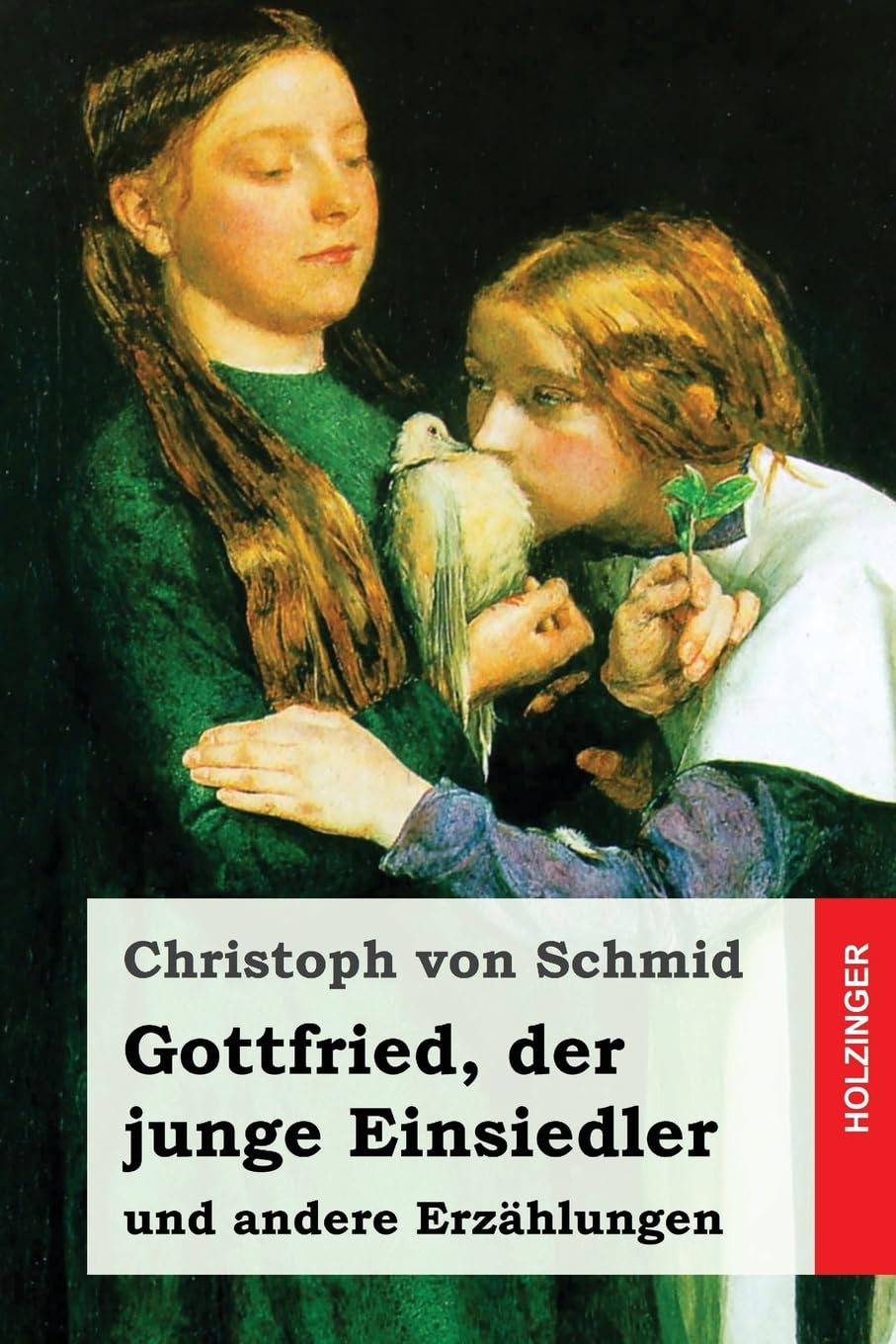 Gottfried, der junge Einsiedler: und andere Erzählungen Contemporary literature