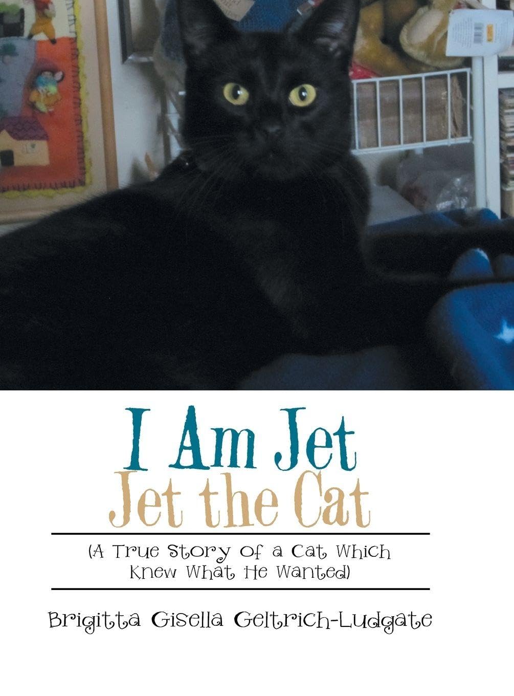 I Am Jet Jet the Cat Pets