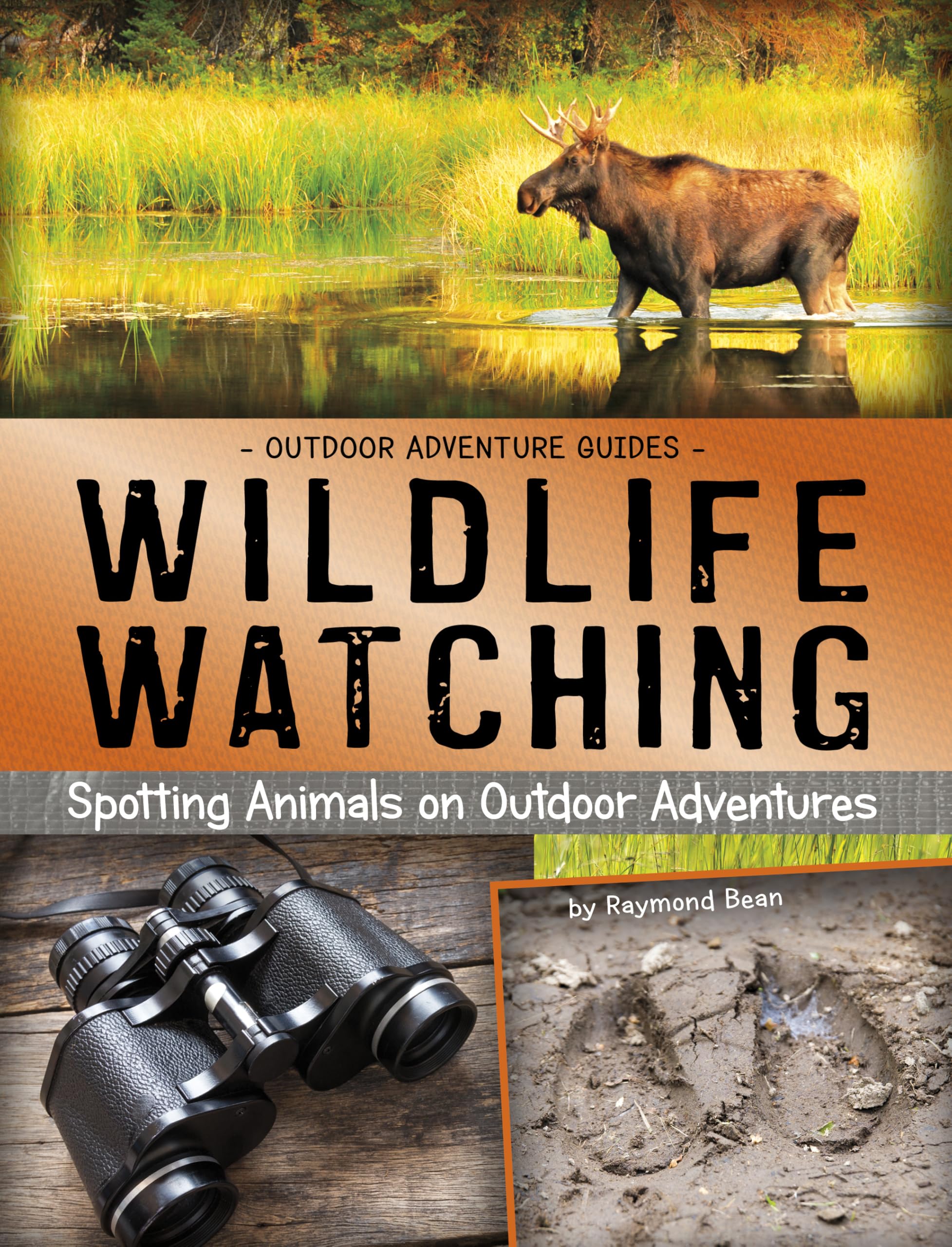 Wildlife Watching: Spotting Animals on Outdoor Adventures (Outdoor Adventure Guides) Leisure & Fun