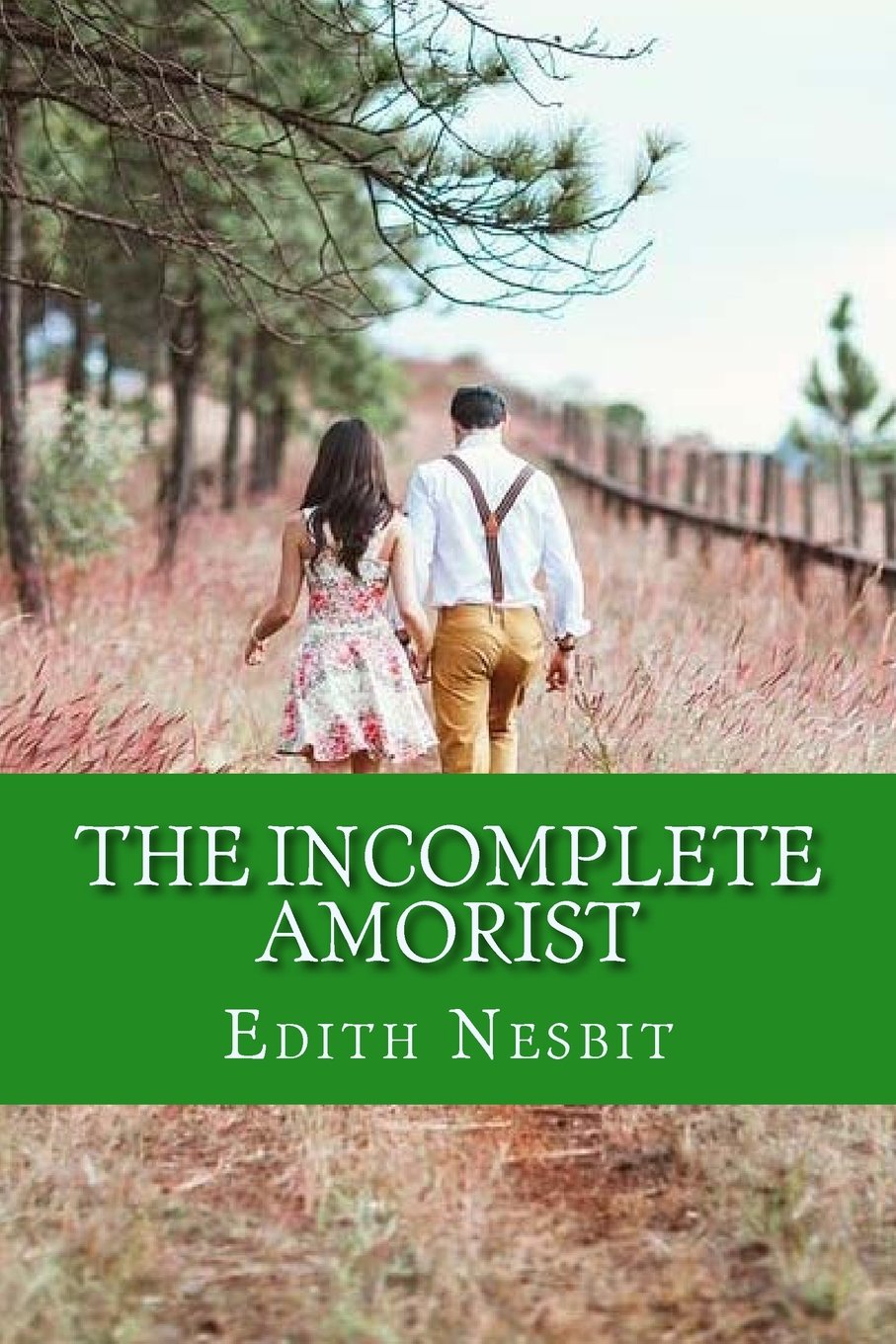 The Incomplete Amorist Contemporary Romance