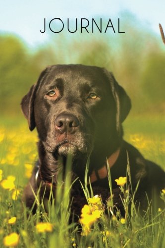 Journal: Labrador Journal, 6x9; Lightly Lined, 160 Pages, Perfect for Notes and Journaling (Labrador Journals, Band 1) Pets