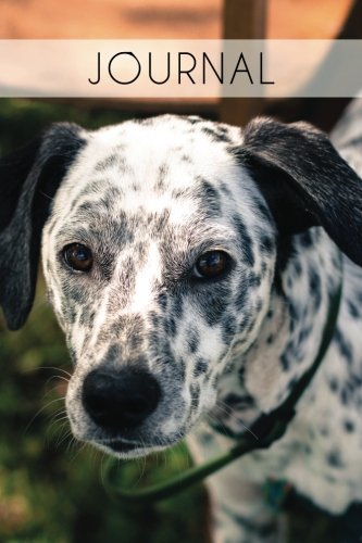 Journal: Dalmatian Journal, 6x9; Lightly Lined, 160 Pages, Perfect for Notes and Journaling (Dalmatian Journals, Band 1) Pets