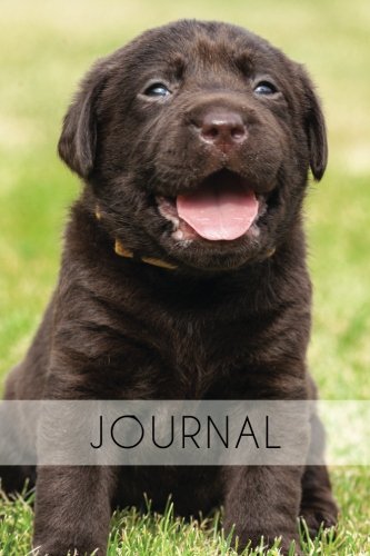 Journal: Labrador Journal, 6x9; Lightly Lined, 160 Pages, Perfect for Notes and Journaling (Labrador Journals, Band 1) Pets