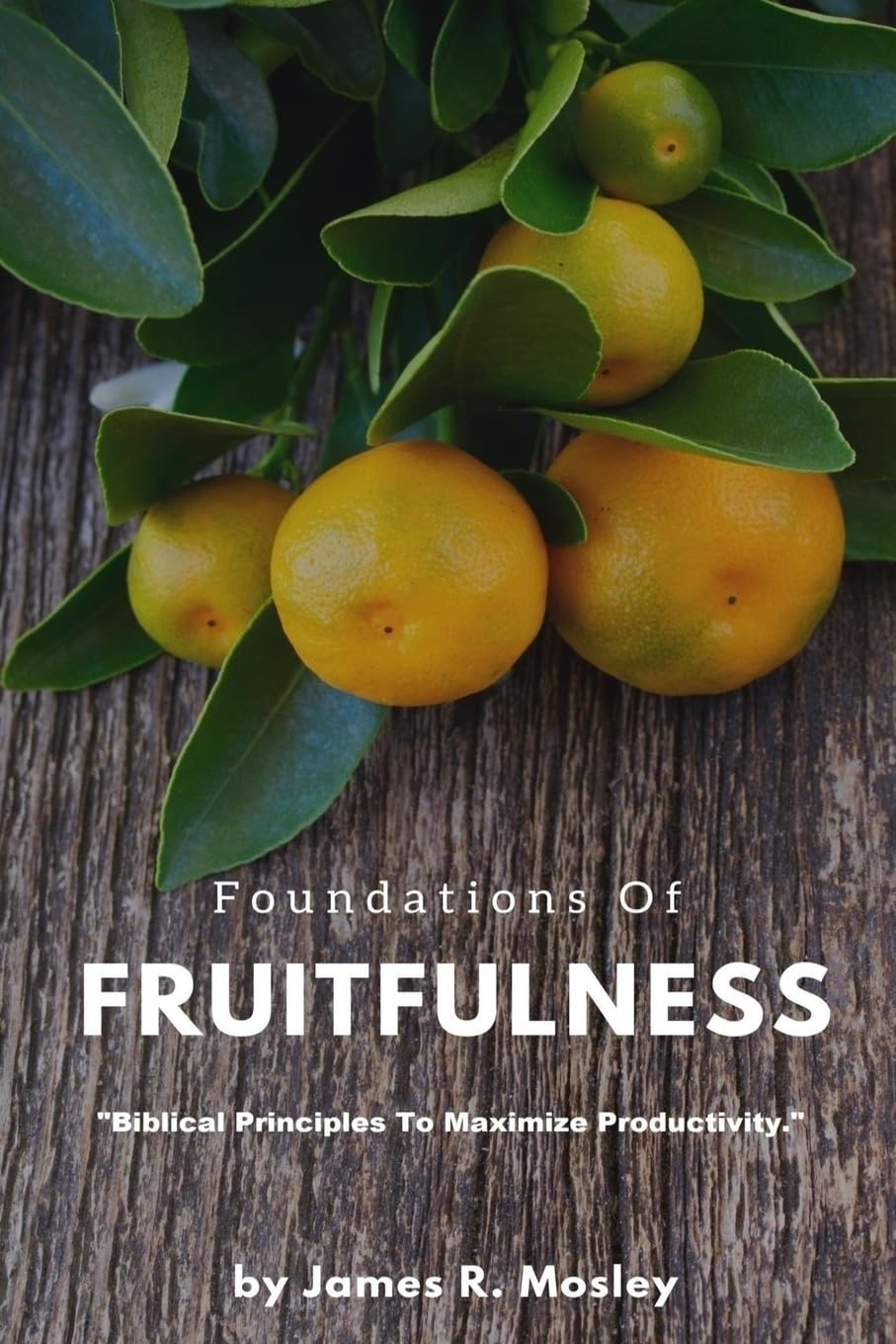 Foundations of Fruitfulness: Biblical principles to maximize productivity. Religion & Esotericism