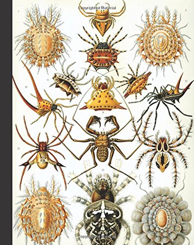 Vintage Spider Nature Illustration Journal: 8” x 10” Bullet Journal - Blank Notebook, 1/4 inch Dot Grid with 160 Pages, Sturdy Matte Softcover Dotted Paper, Perfect Bound, Travel Size Diary Book Mathematics