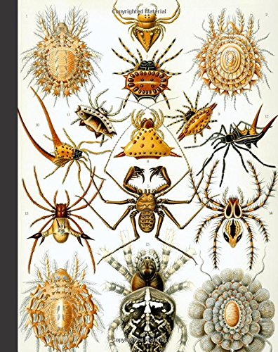 Vintage Spider Nature Illustration Journal: 160 Page Softcover Journal, College Ruled Composition Notebook, 8"x10" Blank Lined Diary book for Girls, ... Journaling, Office Work, Notes and School Mathematics
