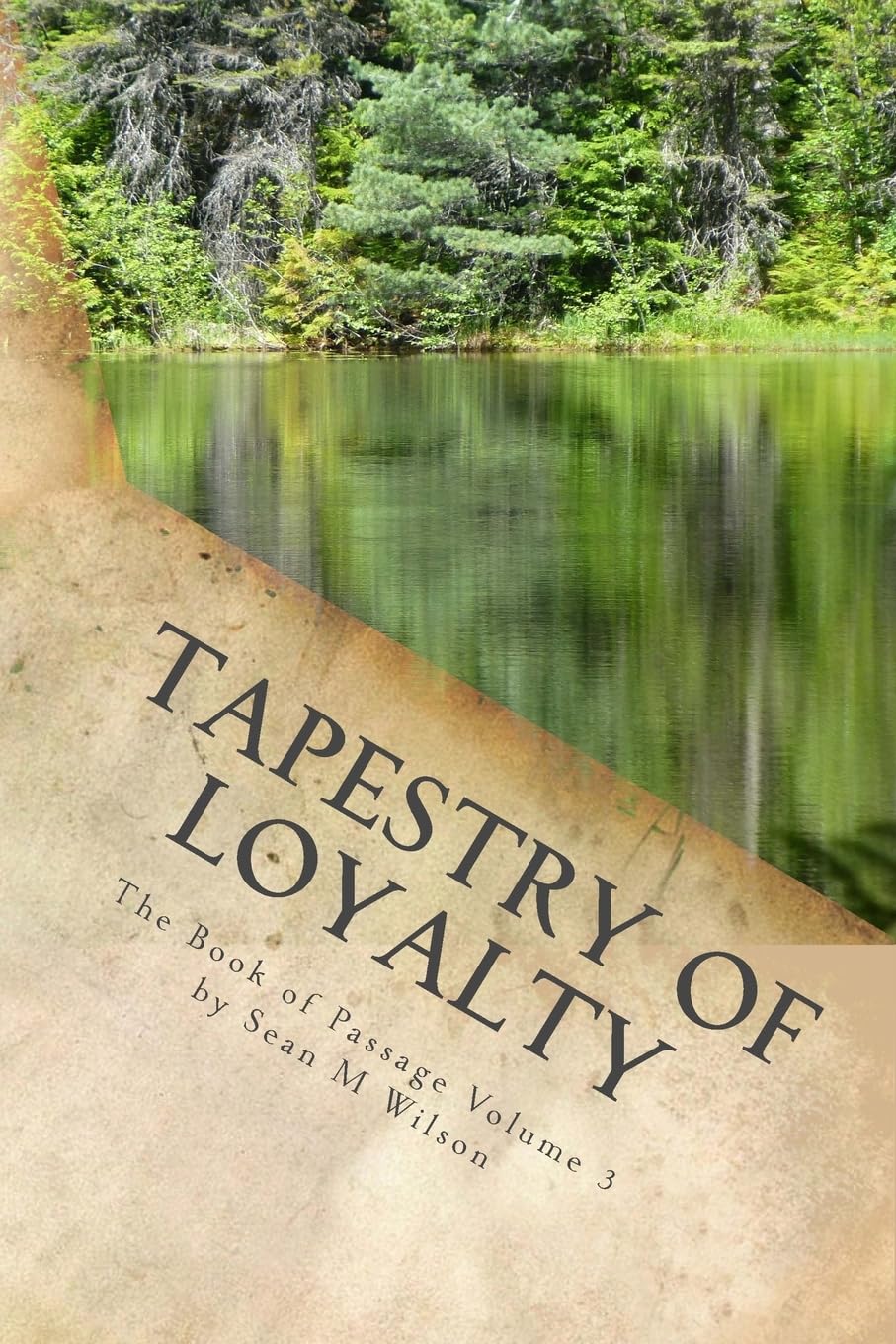 Tapestry of Loyalty (The Book of Passage, Band 3) Urban Fantasy