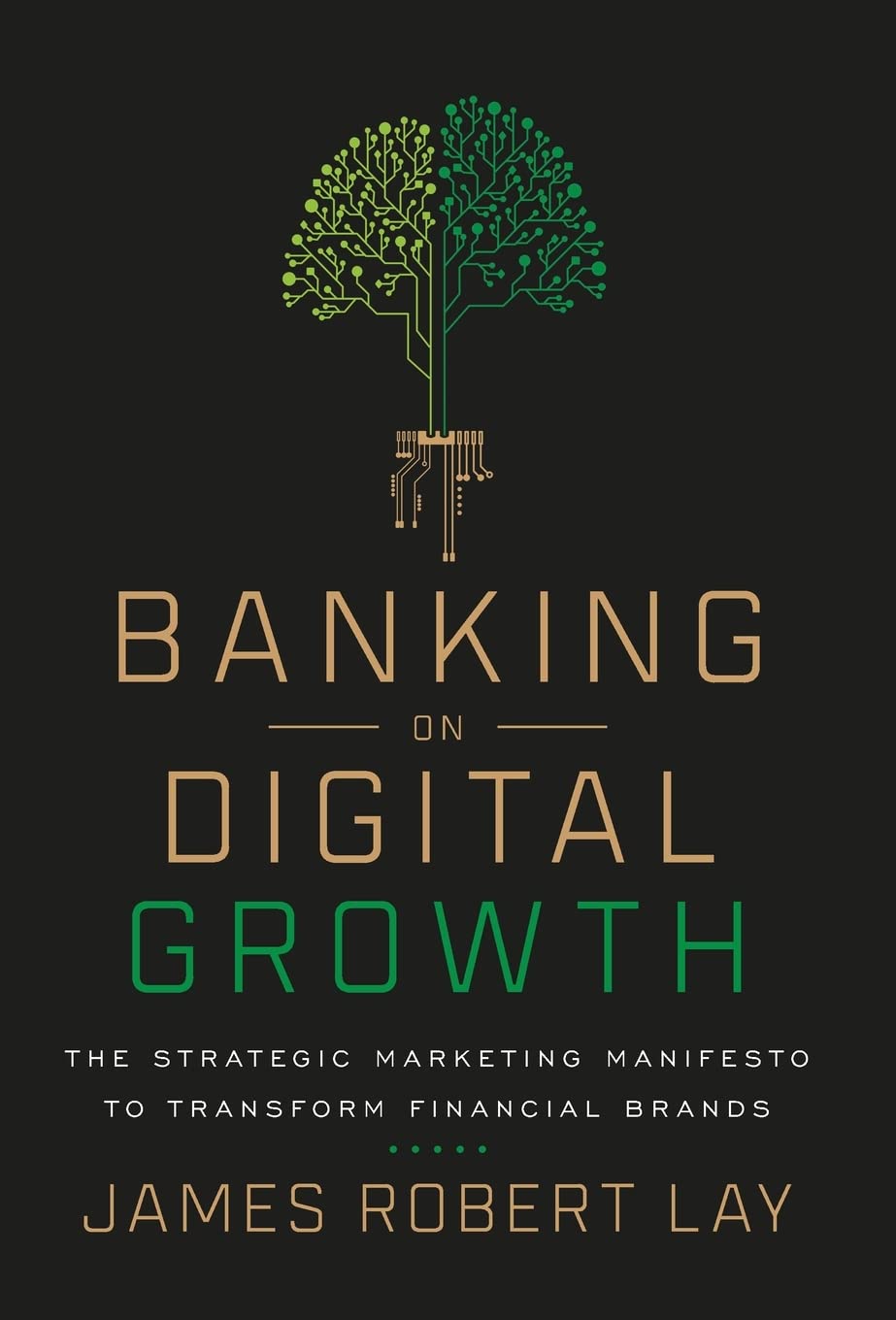 Banking on Digital Growth Business, Finance & Career Books