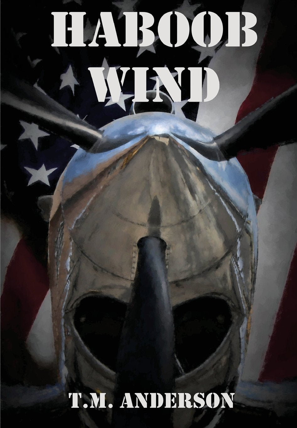 Haboob Wind: Can America's Past Save Her Future Action & Adventure
