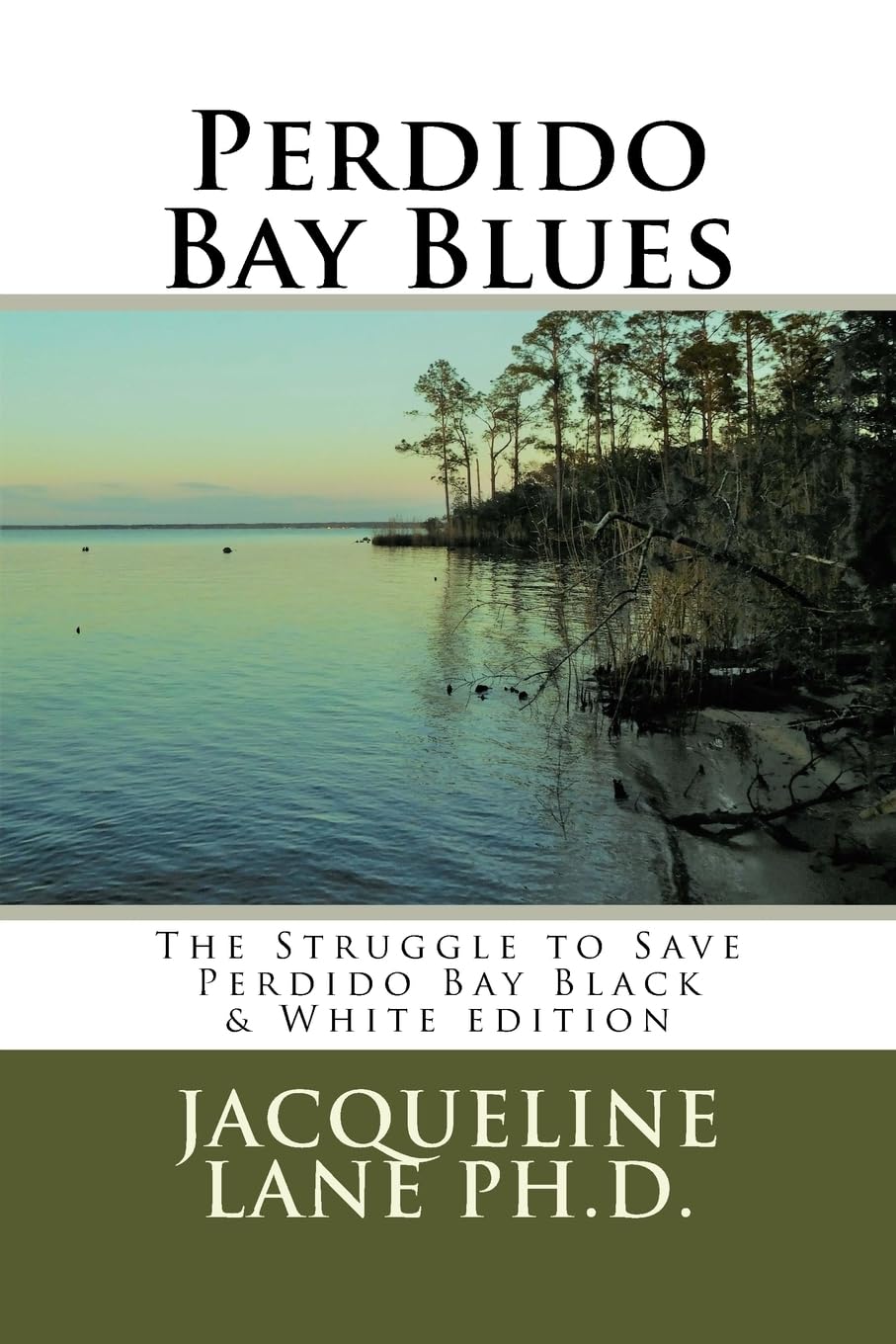 Perdido Bay Blues: The Struggle to Save Perdido Bay Black & White edition Mathematics