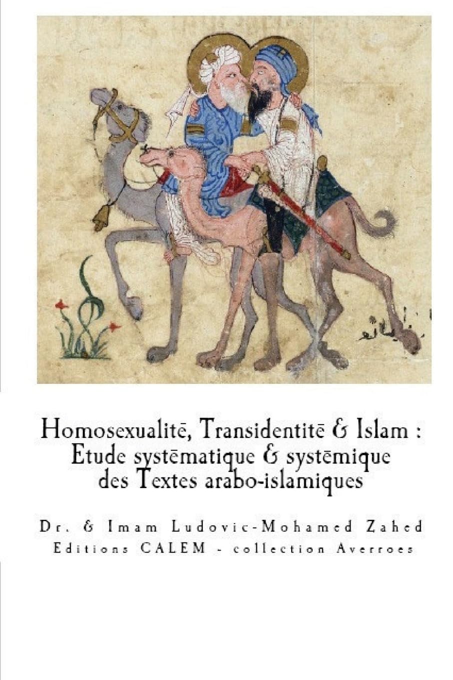 Homosexualite & Transidentite en Islam: Etude systematique et systemique des Textes arabo-islamiques. book