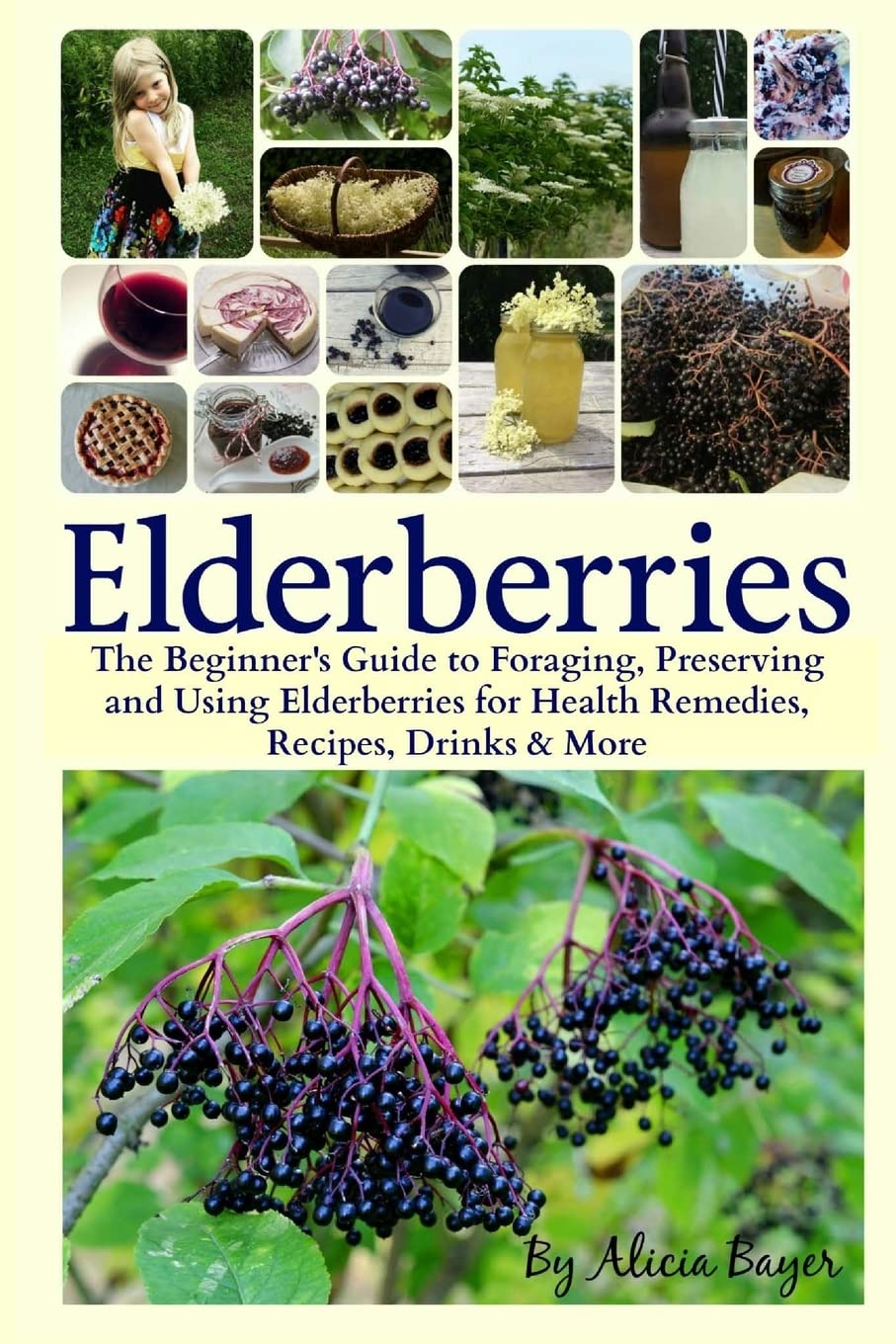 Elderberries: The Beginner's Guide to Foraging, Preserving and Using Elderberries for Health Remedies, Recipes, Drinks & More Mathematics