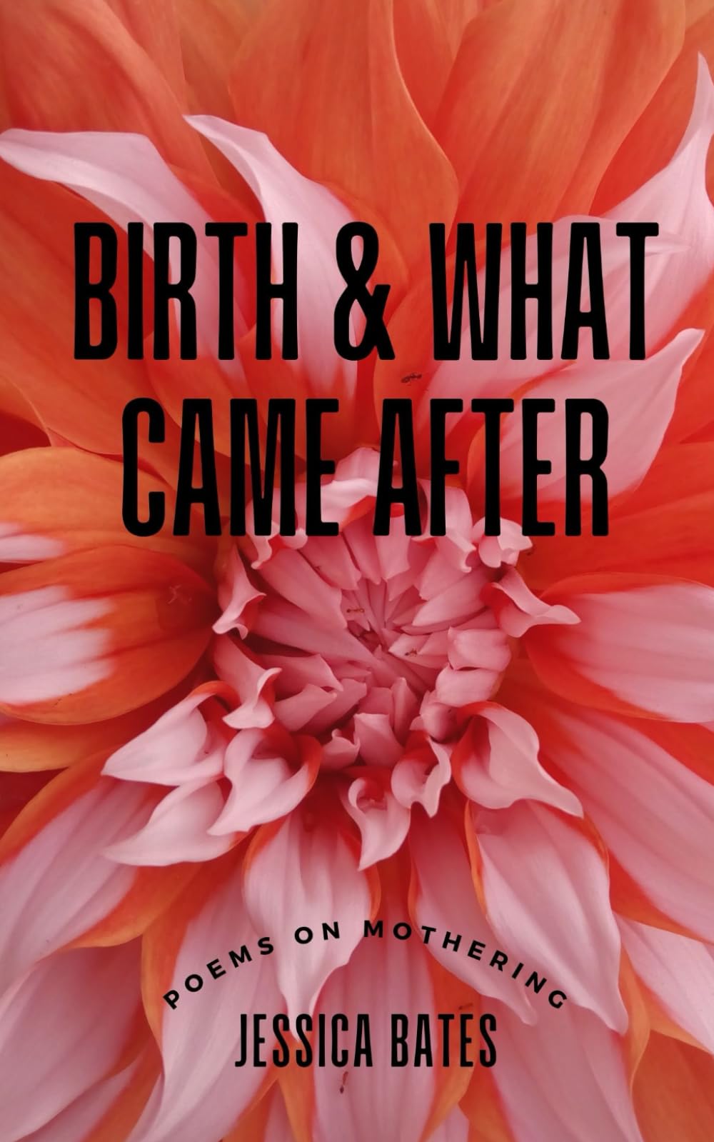 Birth & What Came After: poems on birth and motherhood Poetry