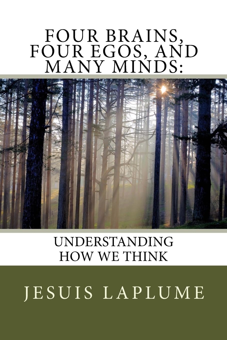 Four Brains, Four Egos, And Many Minds:: Understanding How We think Religion & Esotericism