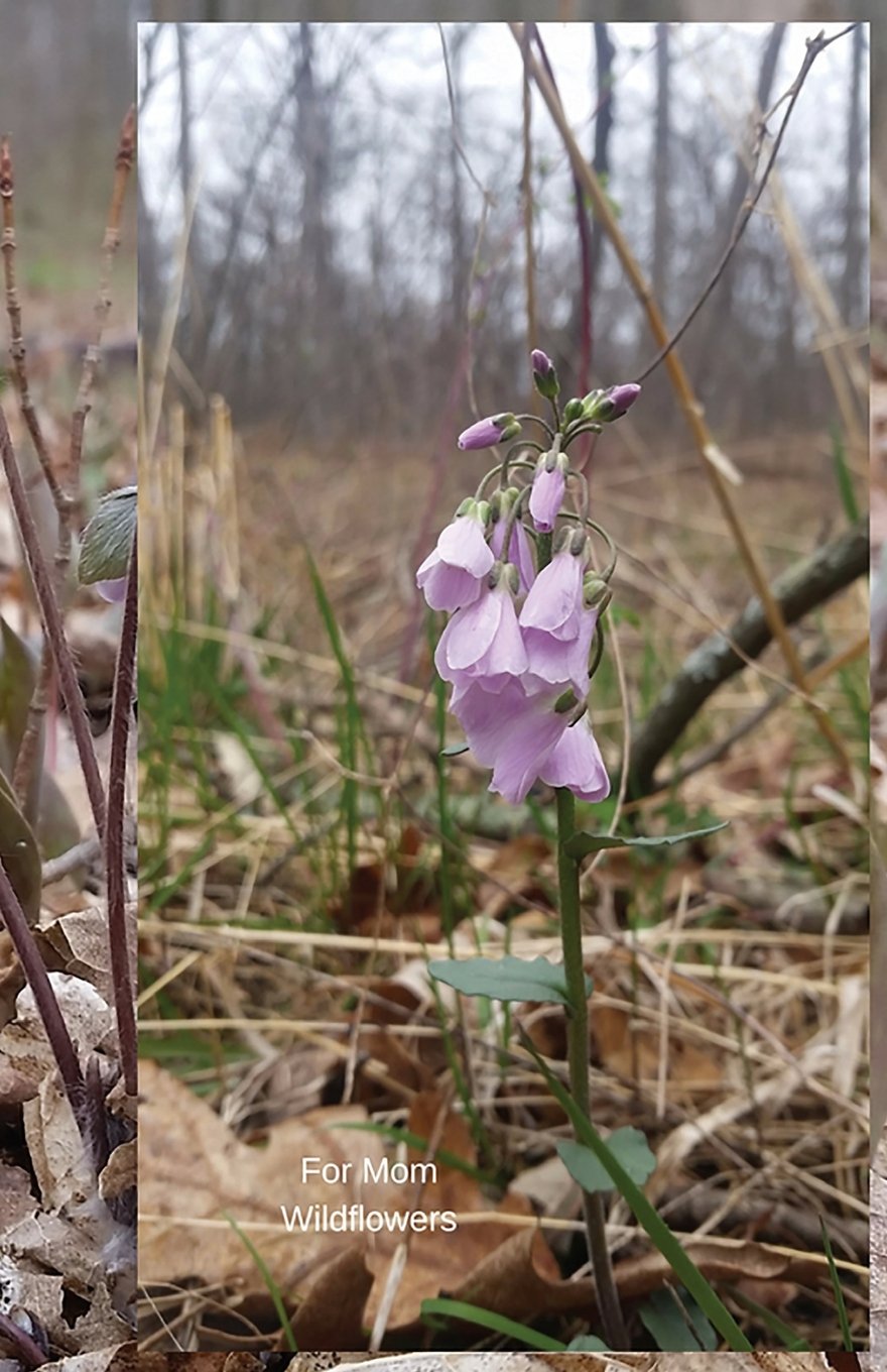 For Mom Wildflowers: Journal Garden & Plants