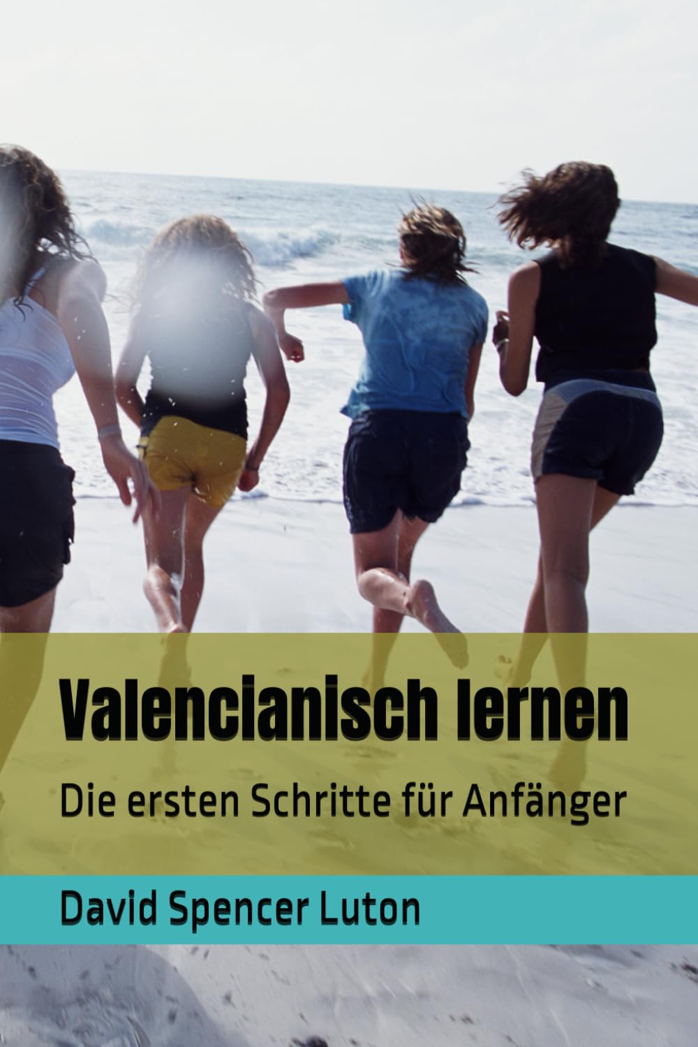 Valencianisch lernen: Die ersten Schritte für Anfänger Foreign Languages ​​& Dictionaries