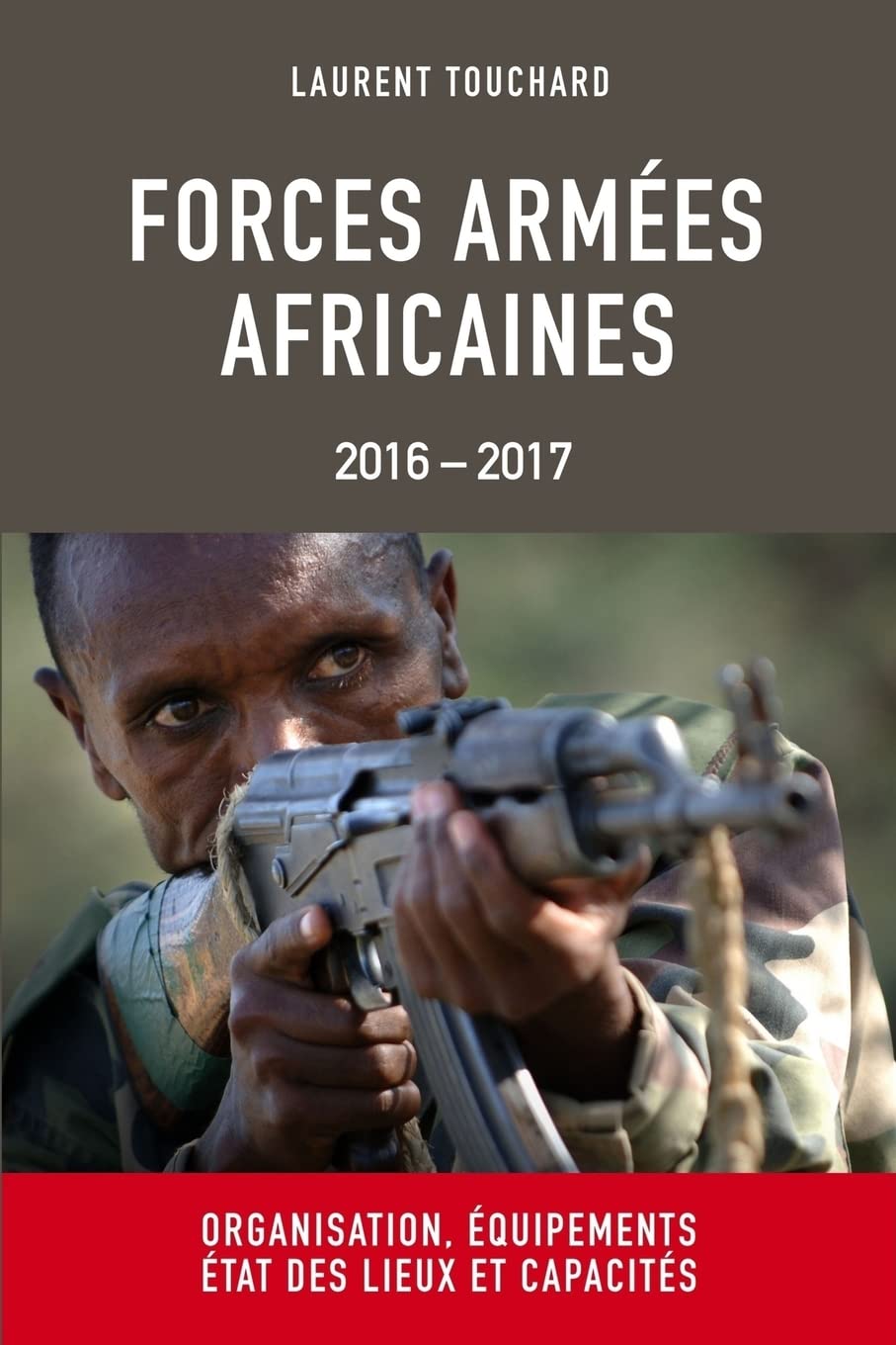 Forces Armees Africaines: Organisation, equipements, etat des lieux et capacites Politics & History