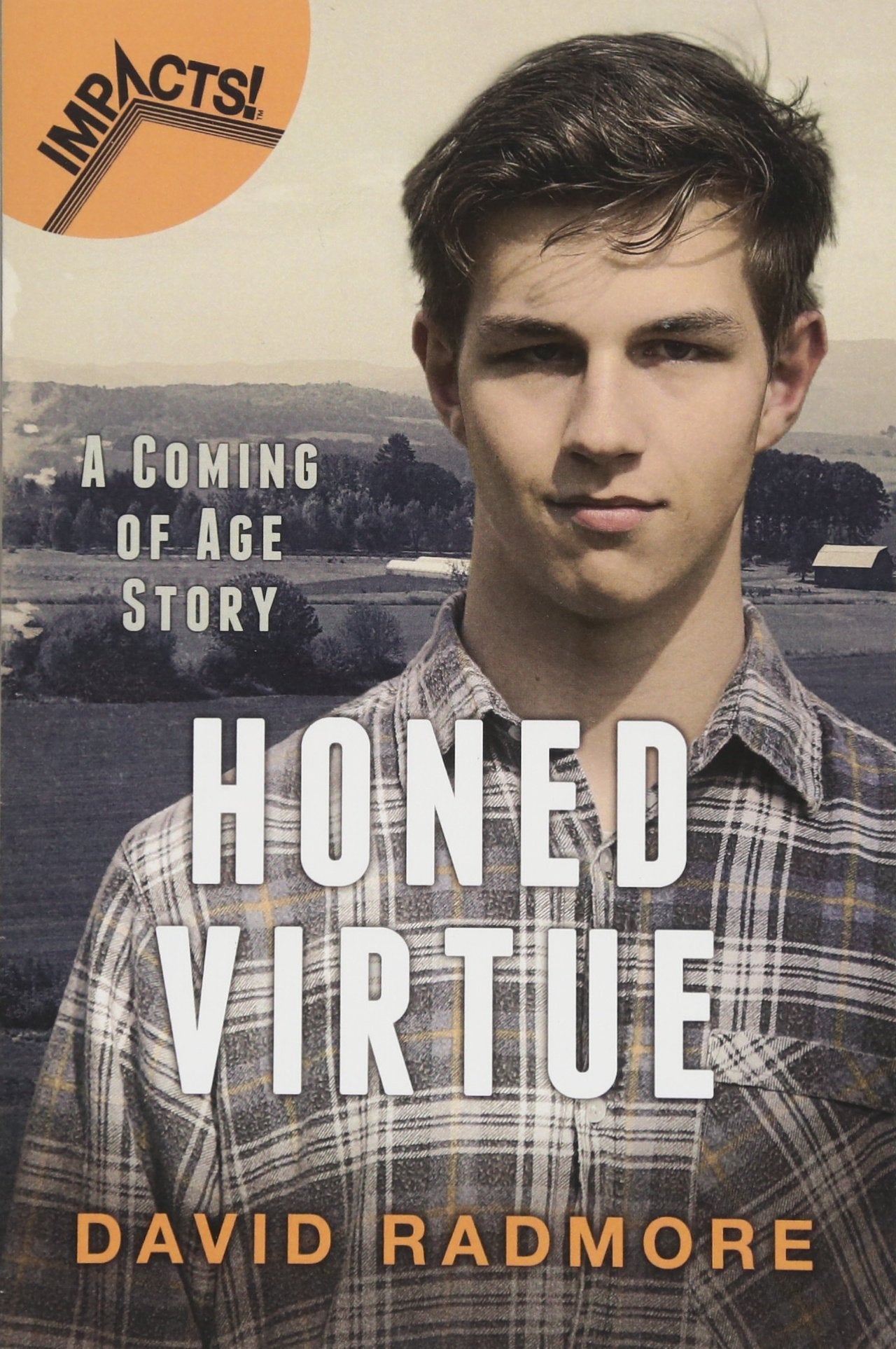Honed Virtue: A Coming of Age Story book