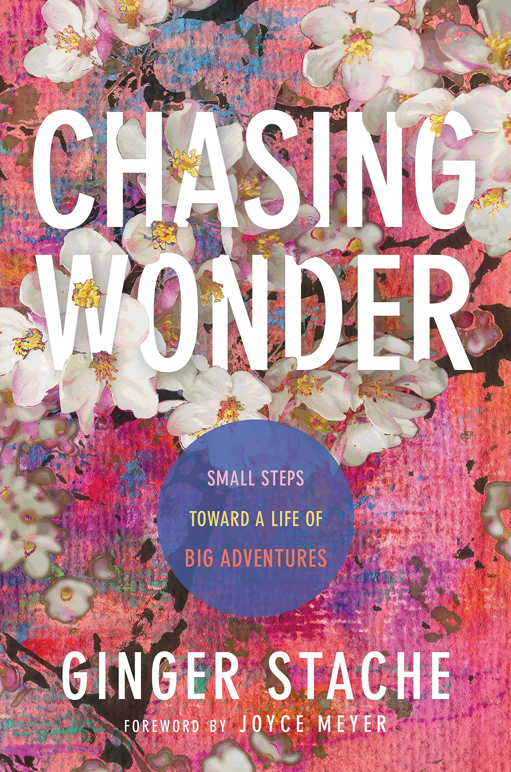 Chasing Wonder: Small Steps Toward a Life of Big Adventures Social Sciences