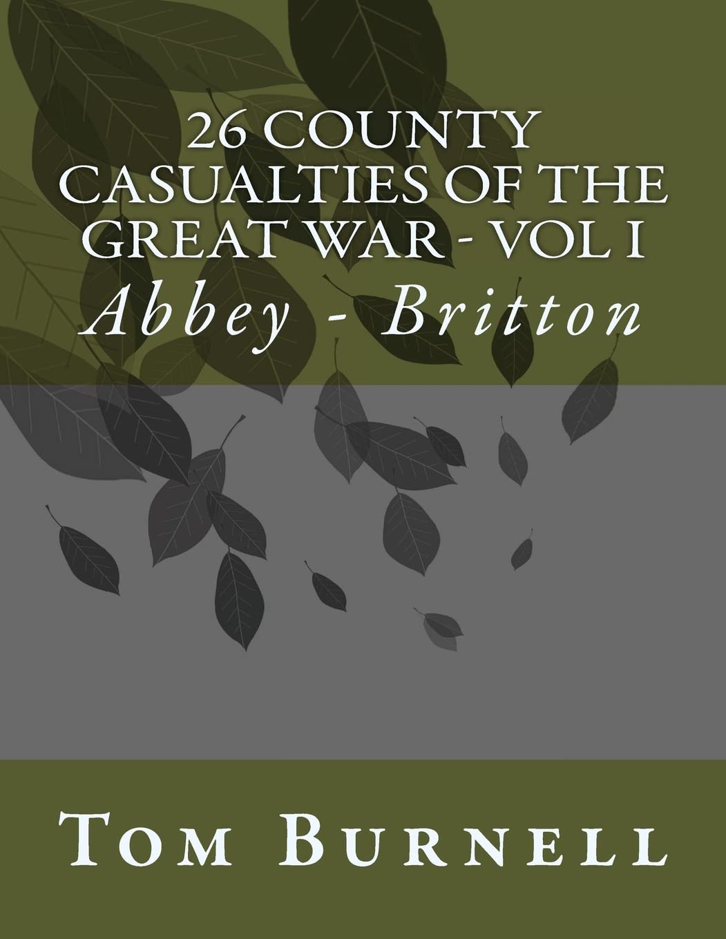 26 County Casualties of the Great War Volume I: Abbey - Britton Politics & History
