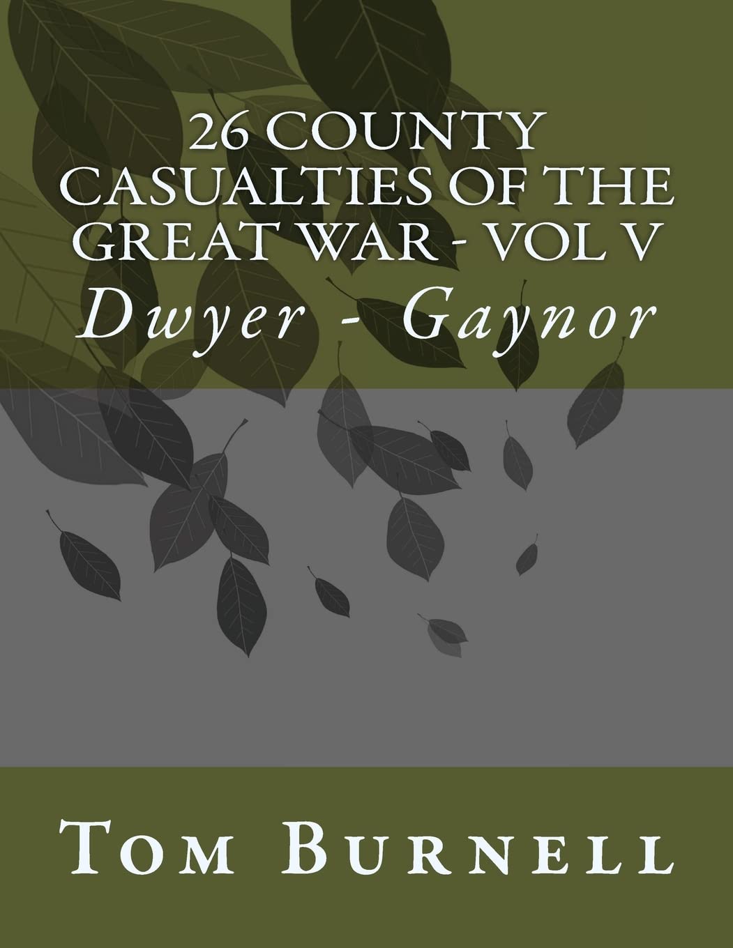 26 County Casualties of the Great War Volume V: Dwyer - Gaynor Politics & History