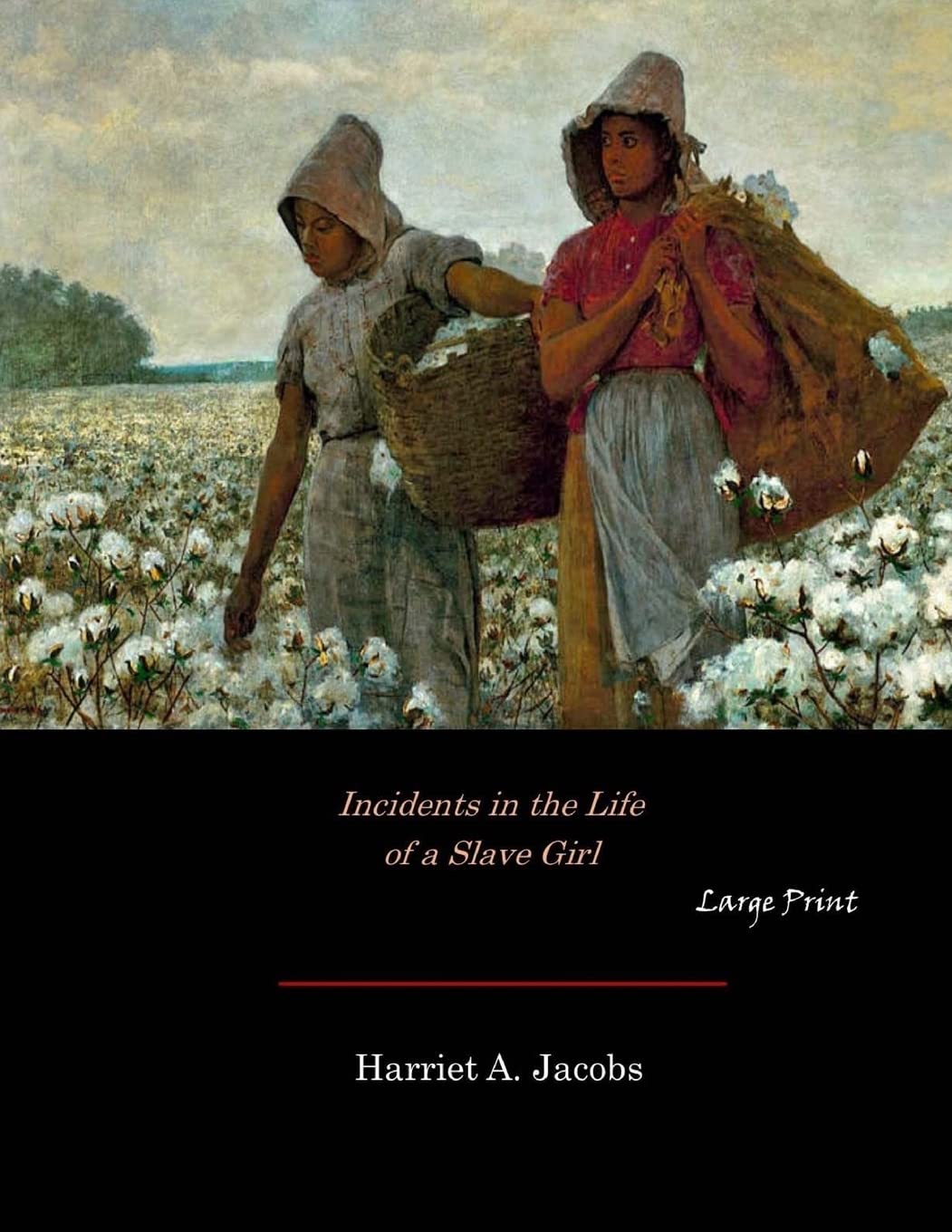 Incidents in the Life of a Slave Girl: Large Print Memories