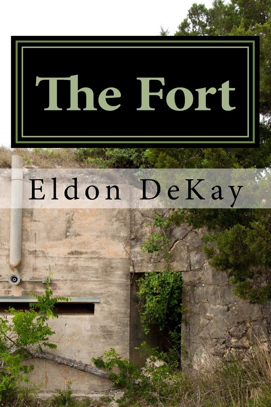 The Fort (The James Family, Band 2) Action & Adventure