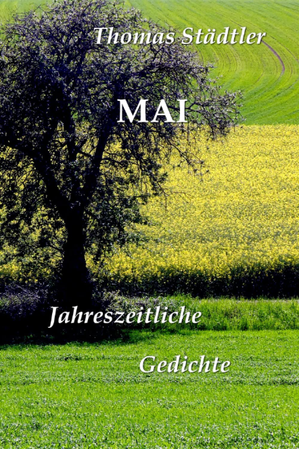 Mai: Jahreszeitliche Gedichte / Mit einem Vorwort von Sahra Wagenknecht (Die zwölf Monate) Poetry