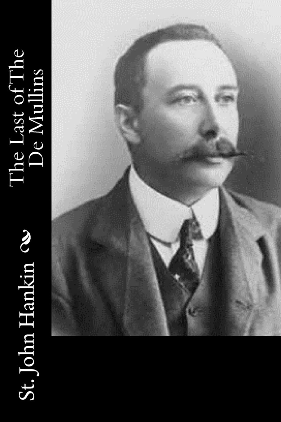 The Last of The De Mullins Historical Fiction