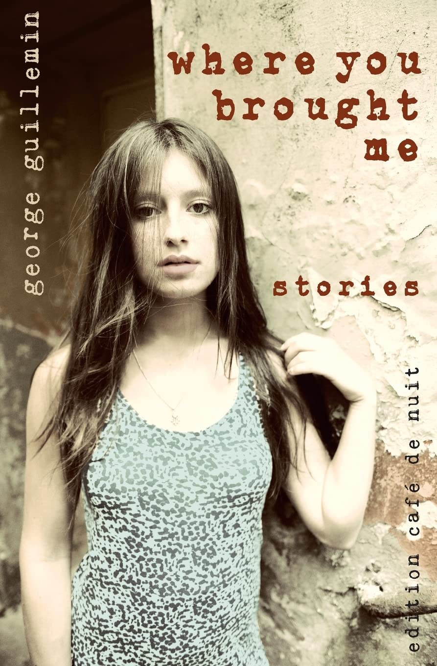 Where You Brought Me: Stories book