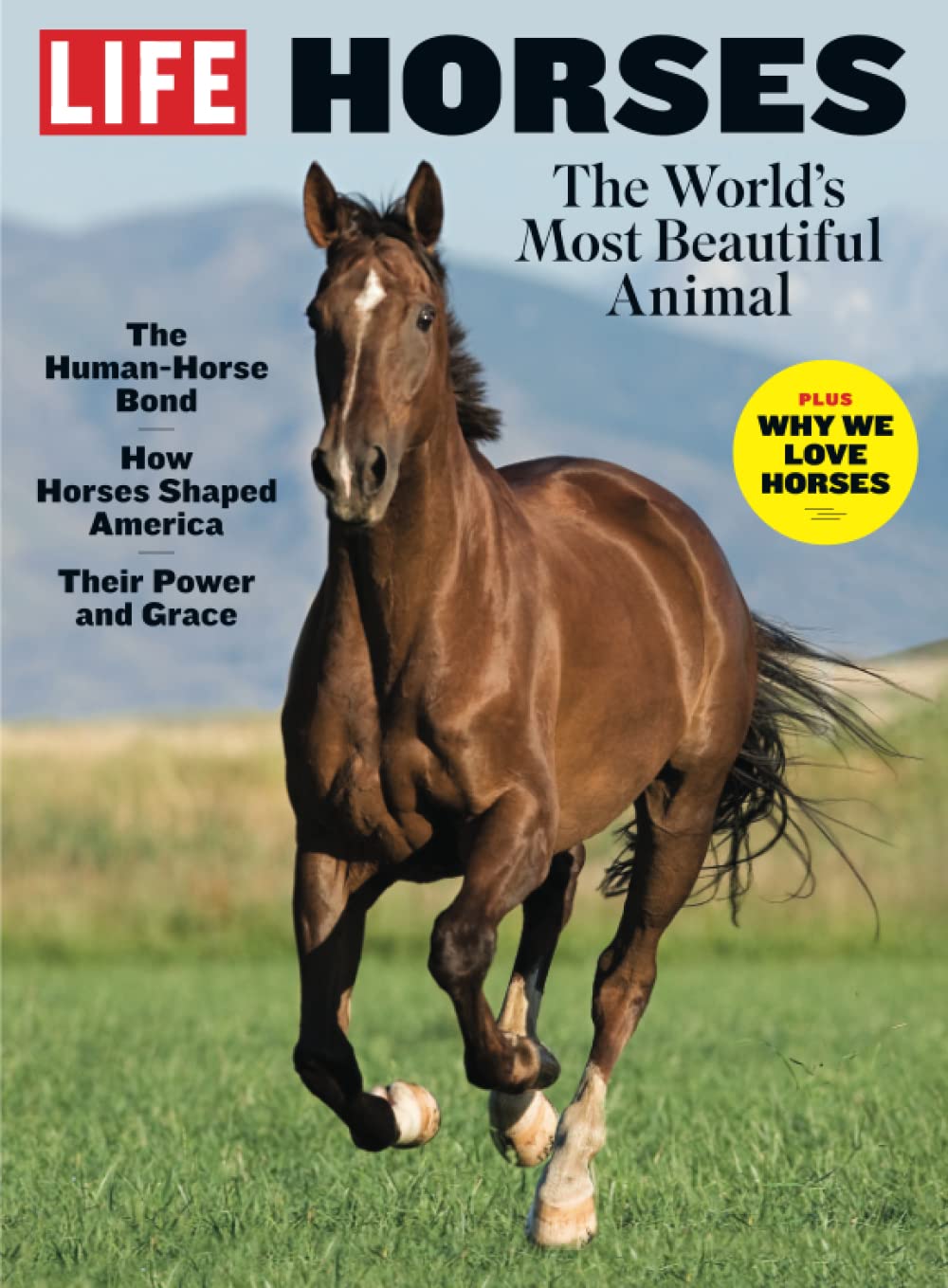 LIFE Horses Mathematics
