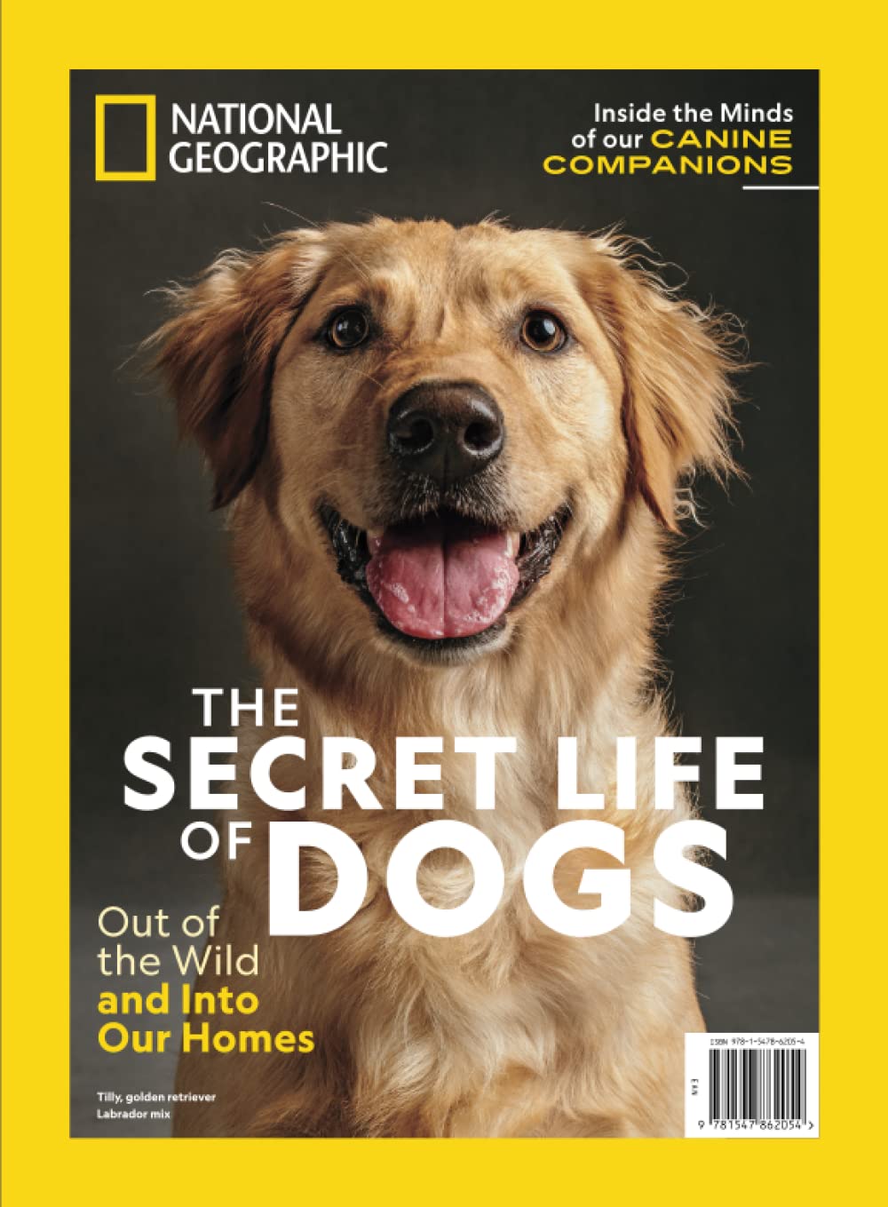 National Geographic The Secret Life of Dogs Pets