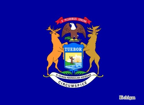 Michigan: Flag Of Michigan |Guest Book ,Special Gifts | 8.25x 6 Diary, Journal, Notebook 100 Pages Hobbies & Crafts