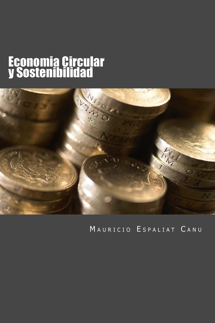Economia Circular y Sostenibilidad: Nuevos enfoques para la creacion de Valor Business, Finance & Career