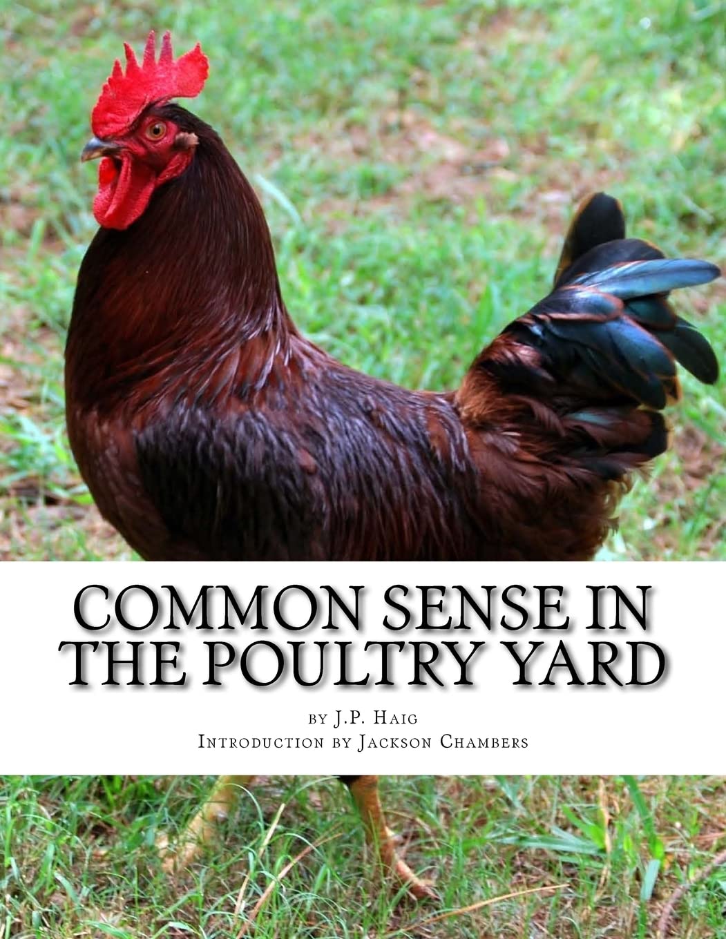 Common Sense In The Poultry Yard: A Story of Failures and Successes – 1000 Hens and What They Did Home & Household
