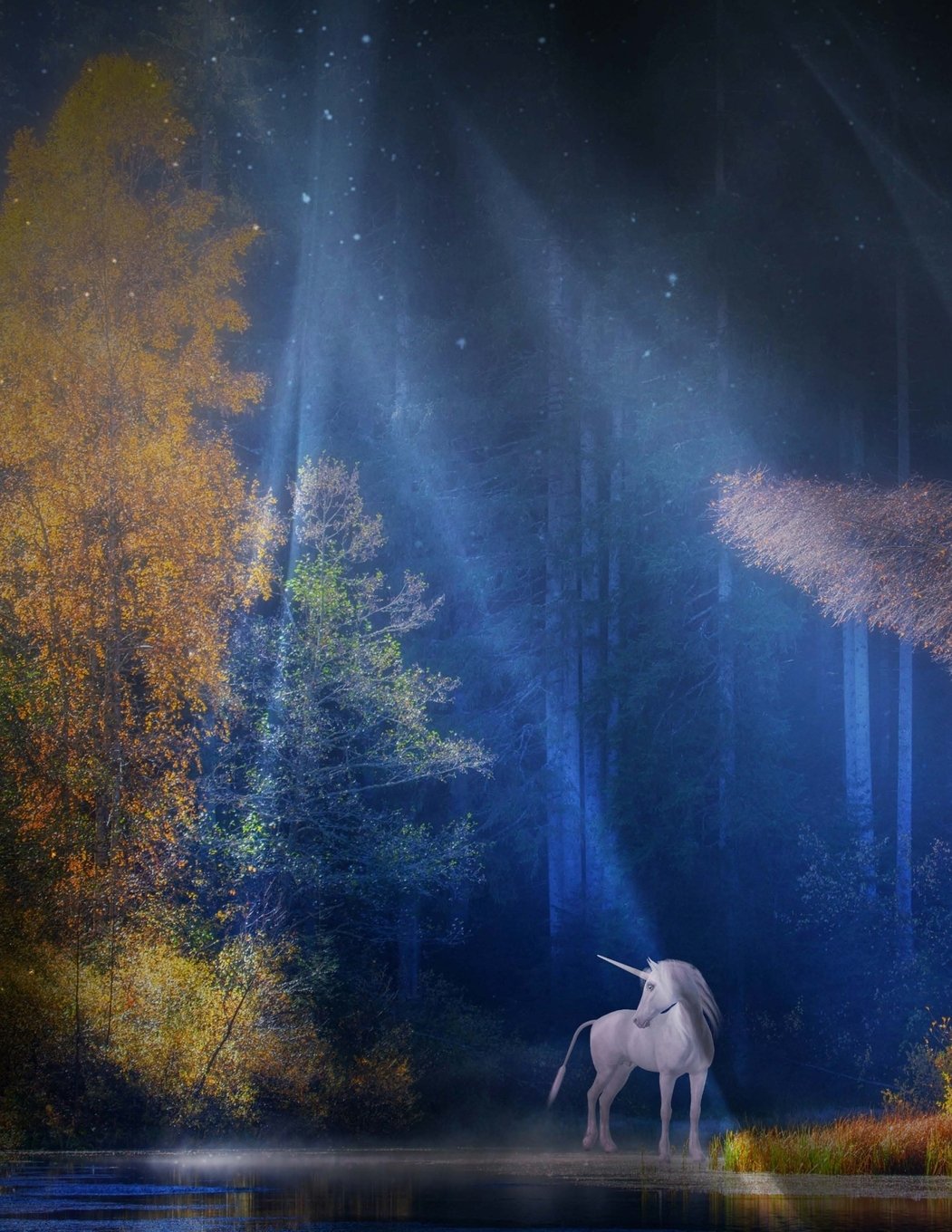 Mystical Unicorn in a Magical Forest Journal: 150 page lined notebook/diary 8.5 X 11 inches Film, Art & Culture