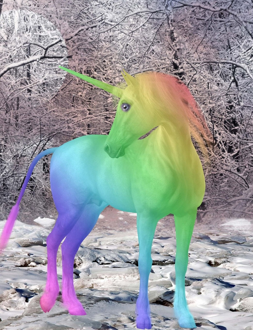 Composition Book / Rainbow Unicorn Design / College Ruled Books