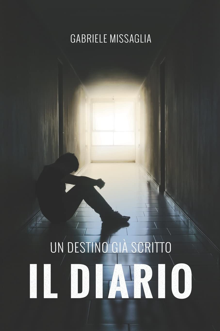 Il Diario: Un destino già scritto book