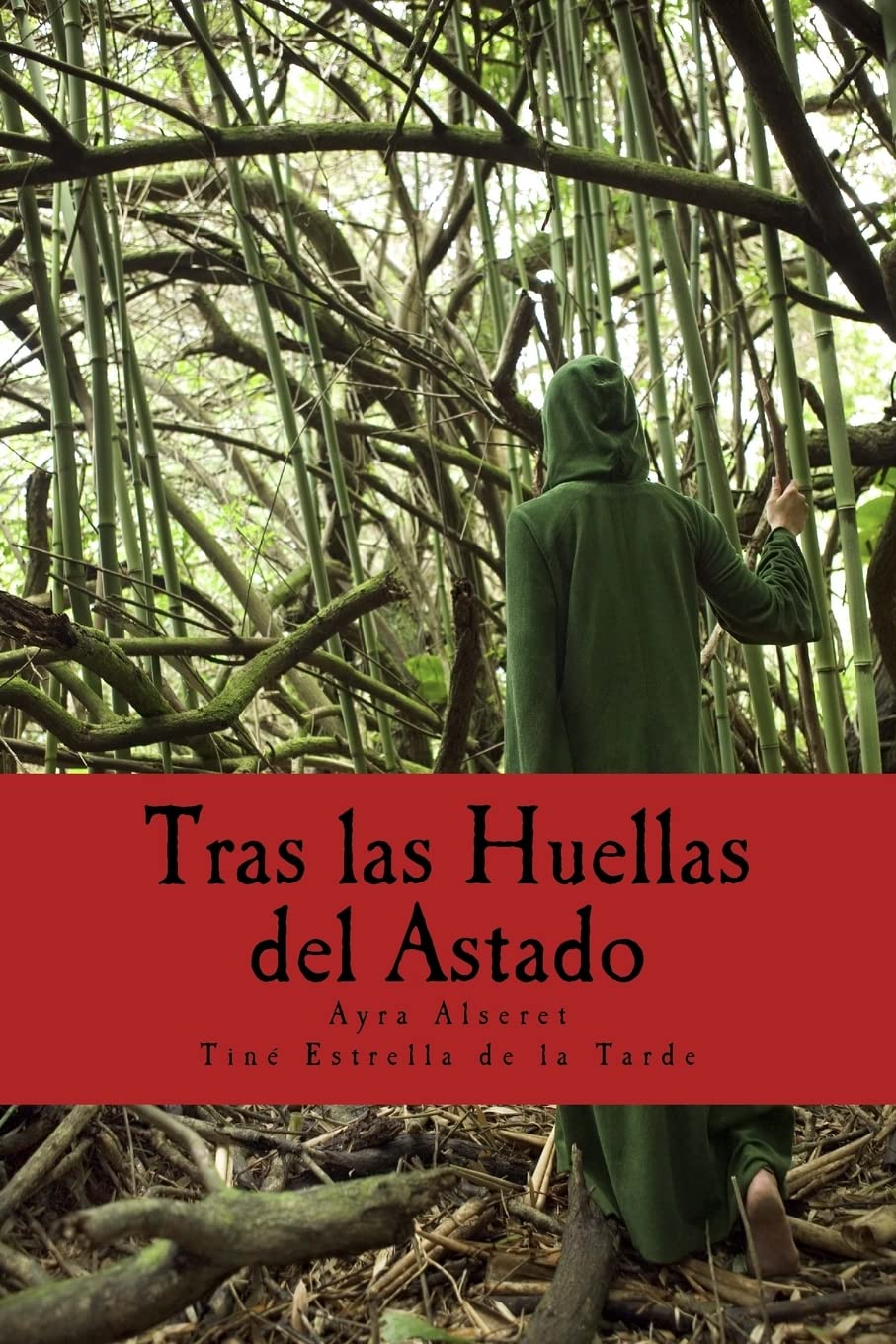 Tras las Huellas del Astado: Una Guía Práctica sobre los rostros del Dios Religion & Esotericism