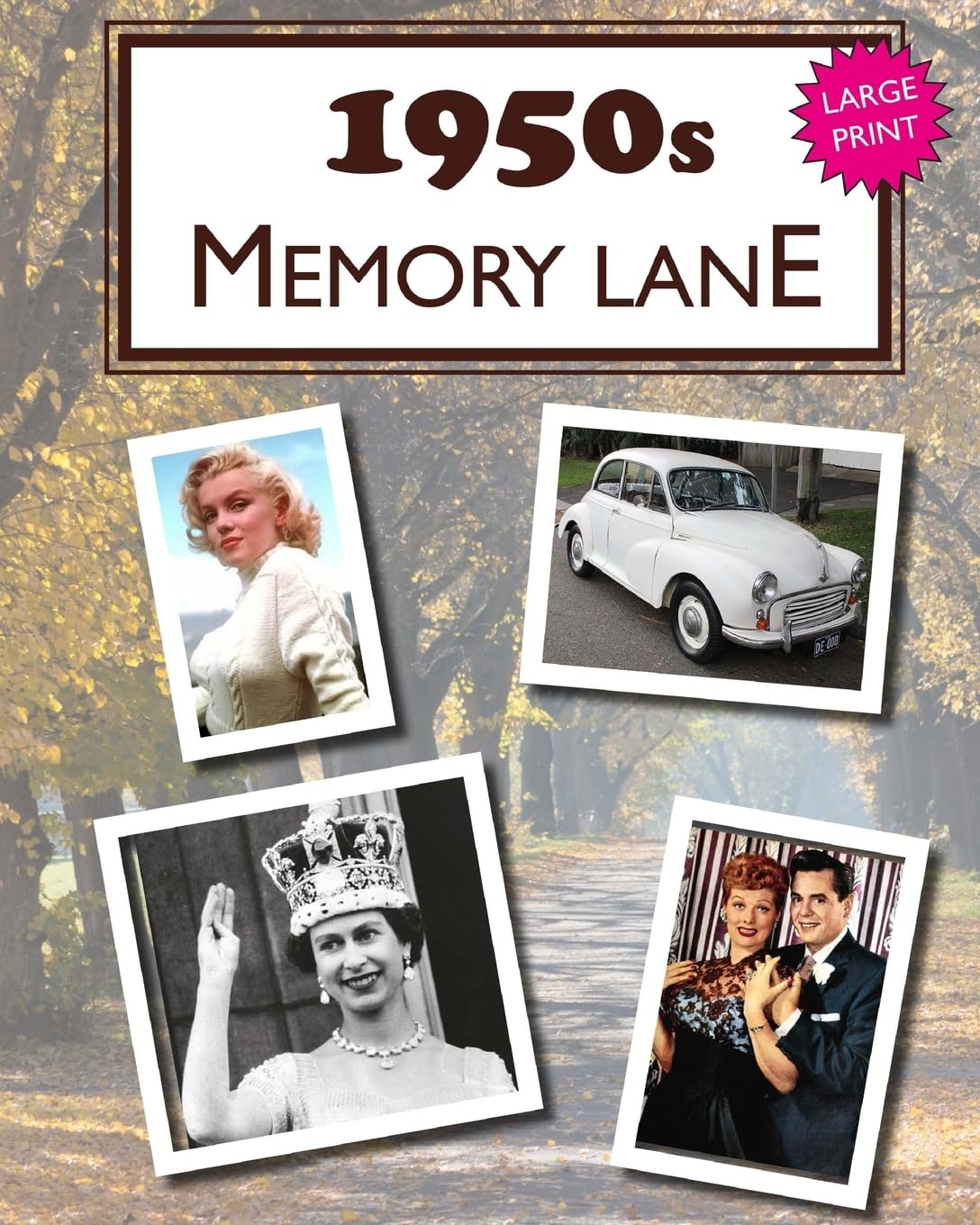 1950s Memory Lane: Large print book for dementia patients Politics & History