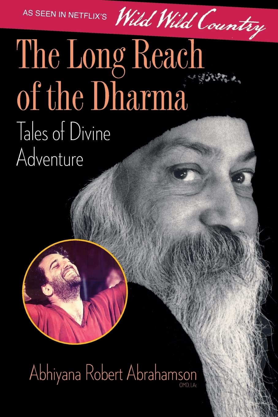 The Long Reach of the Dharma: Tales of Divine Adventure Politics & Society Books