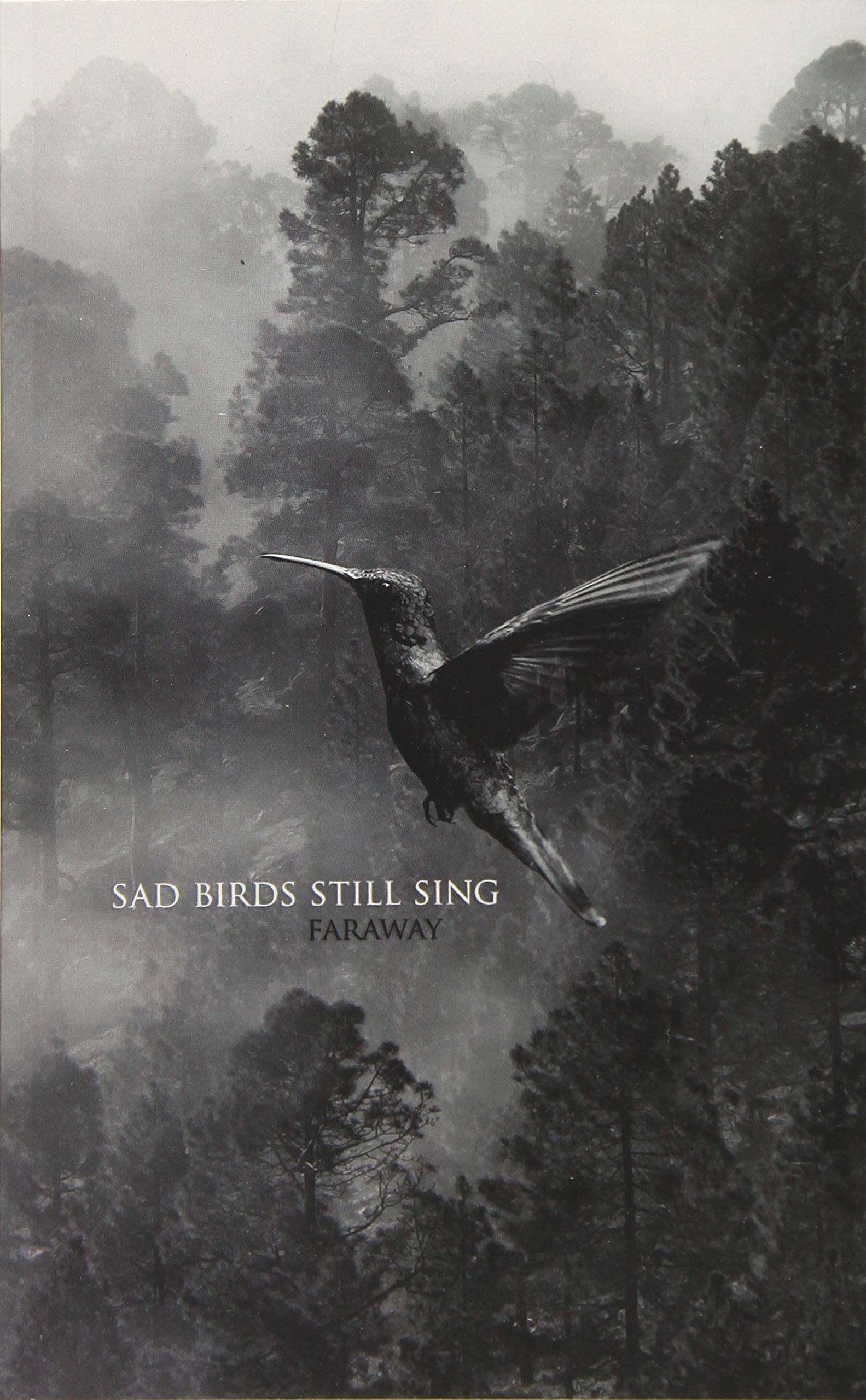Product Image: Sad Birds Still Sing