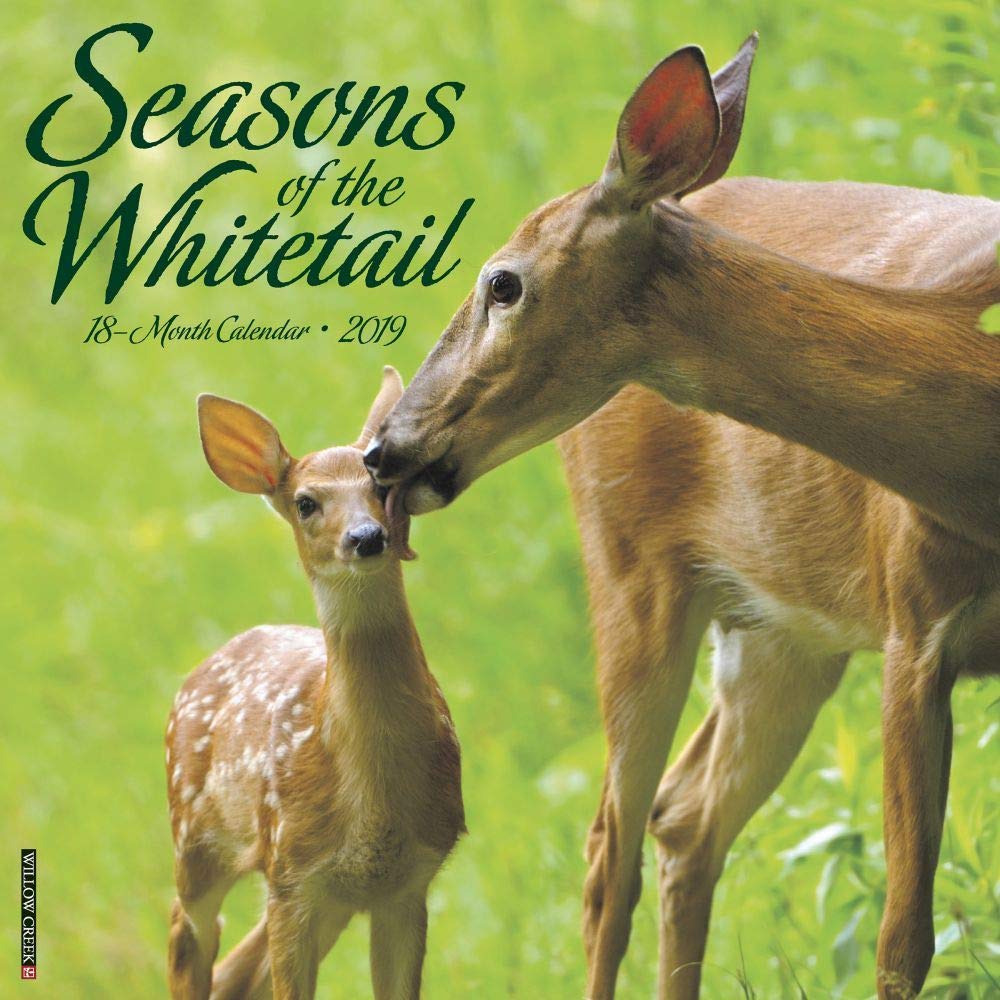 Seasons of the Whitetail 2019 Calendar Mathematics