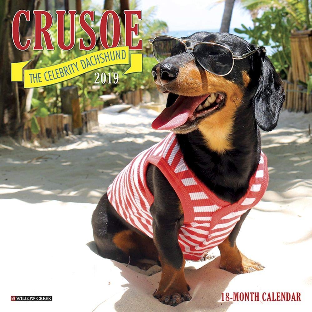 Crusoe the Celebrity Dachshund Mini 2019 Wall Calendar (Dog Breed Calendar) book