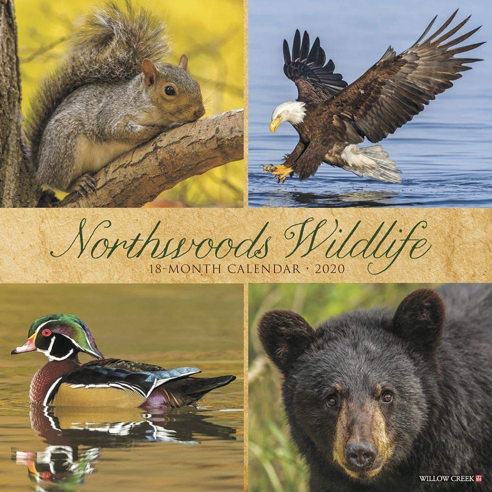 Northwoods Wildlife 2020 Calendar Mathematics