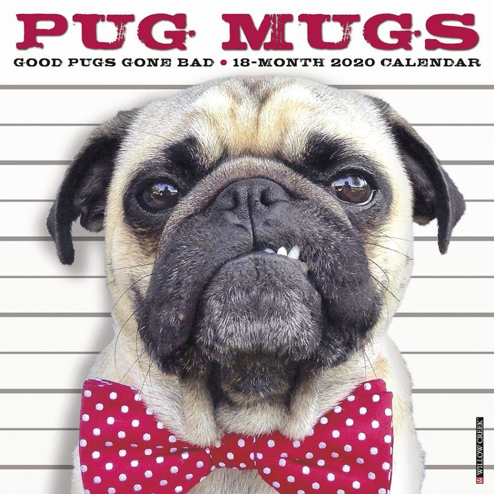 Pug Mugs 2020 Calendar: Good Pugs Gone Bad Pets