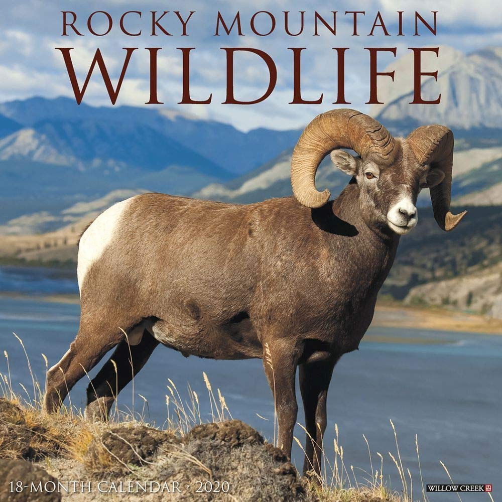 Rocky Mountain Wildlife 2020 Calendar Mathematics